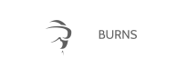 VRBURNS